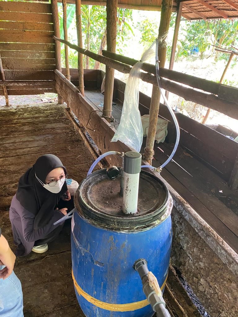 Mahasiswi Prodi Fisika dari Universitas Tanjung Pura melakukan pengembangan kotoran sapi jadi pupuk