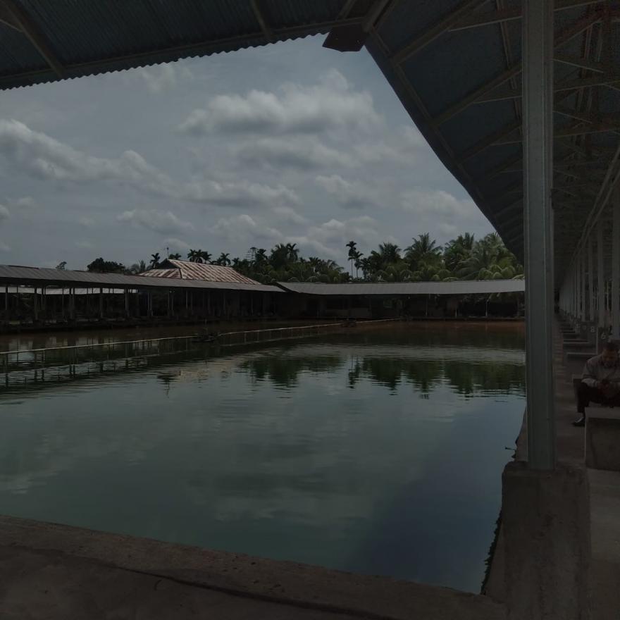 Wisata Kolam Pemancingan Dusun 2 Desa Pal Sembilan